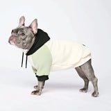 Olive Cream Hoodie
