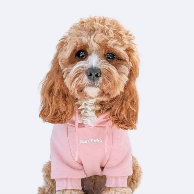 Essential Dusty Pink Hoodie
