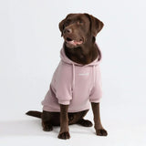 Essential Purple Taupe Hoodie