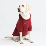 Essential Burgandy Hoodie