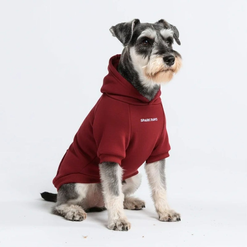 Essential Burgandy Hoodie