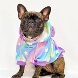 Halloween Dog Hoodie - Unicorn