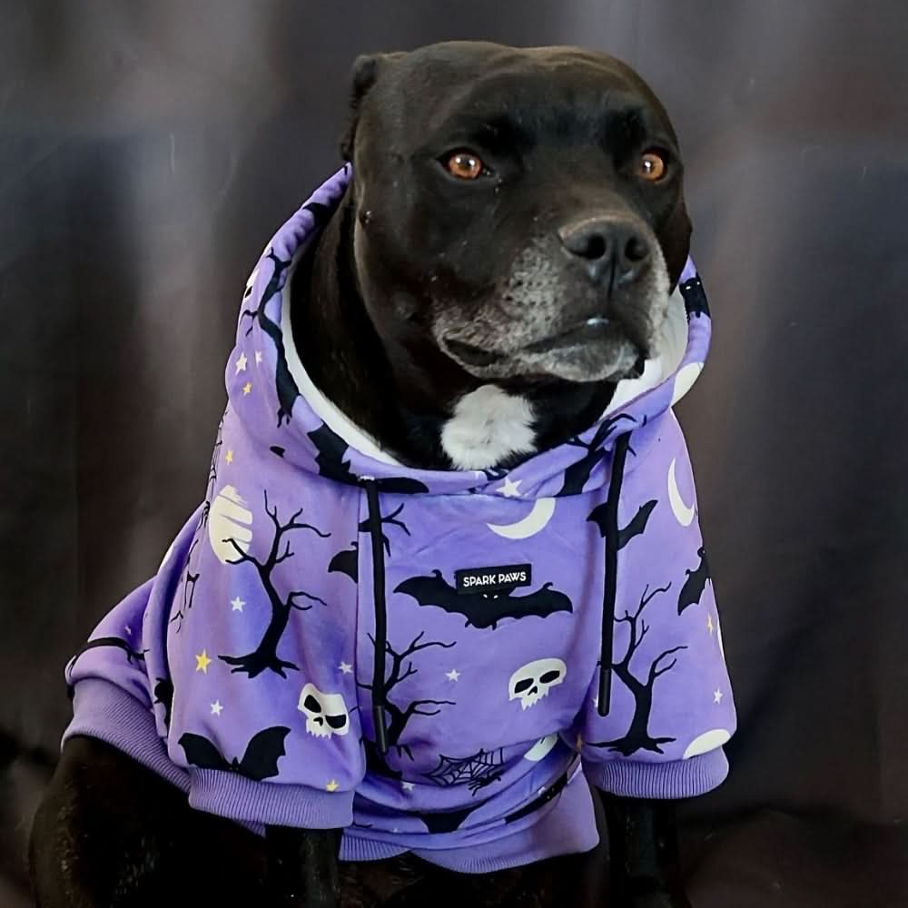 Halloween Human Hoodie - Purple (2) – SPARK PAWS