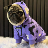 Halloween Dog Hoodie - Purple