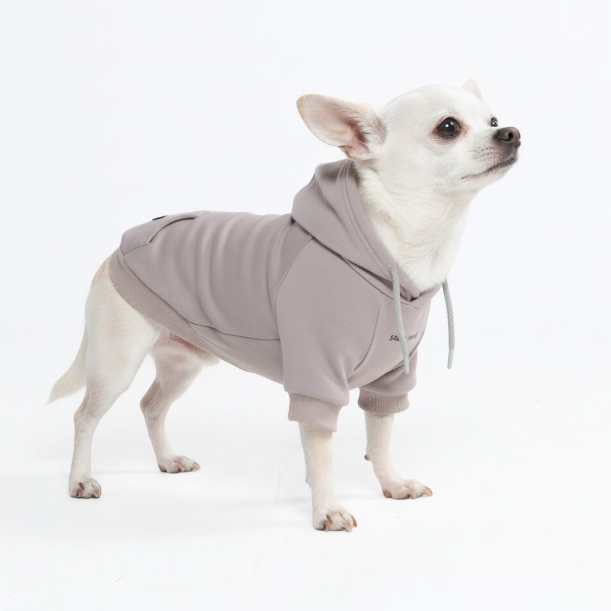 Dog Hoodie (Butter Stretch) – SPARK PAWS