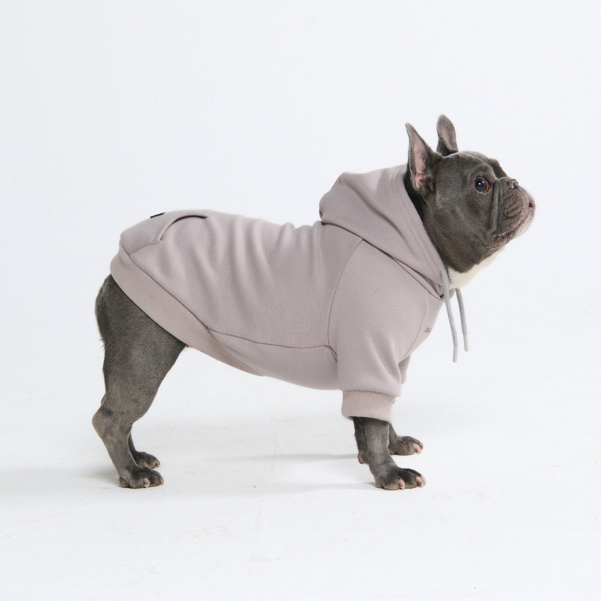 Dog Hoodie (Butter Stretch) – SPARK PAWS