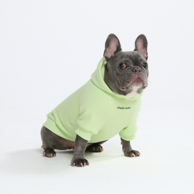 Dog Hoodie (Butter Stretch) – SPARK PAWS