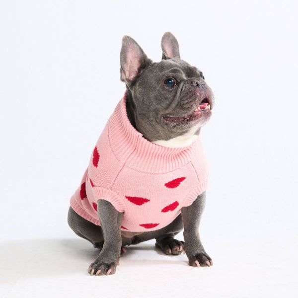cute dog sweater Hearts Knit Dog Sweater – SPARK PAWS