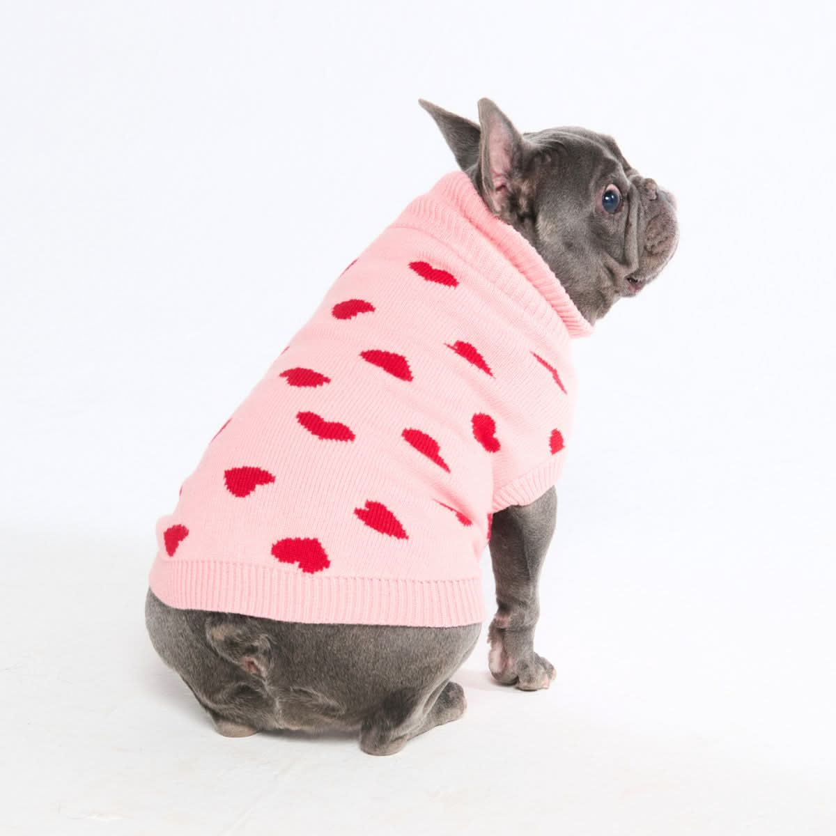 heart dog sweater Knit Dog Sweater Prints