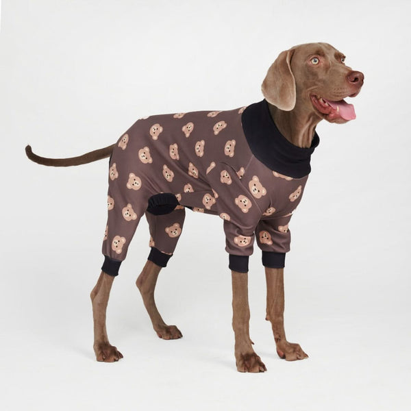 Cyber Punk Dog Hoodie – SPARK PAWS