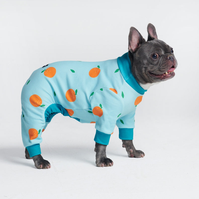 Dog Pajama - Oranges