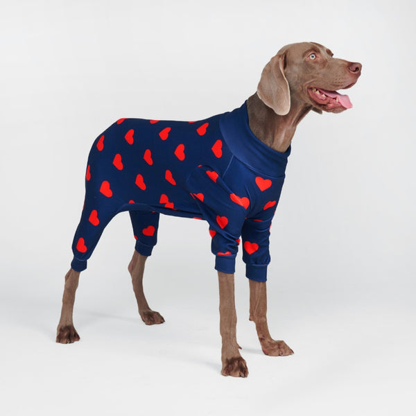 Spark Paws: Quality Dog Clothes, Collar, Harness & Accessories – SPARK PAWS