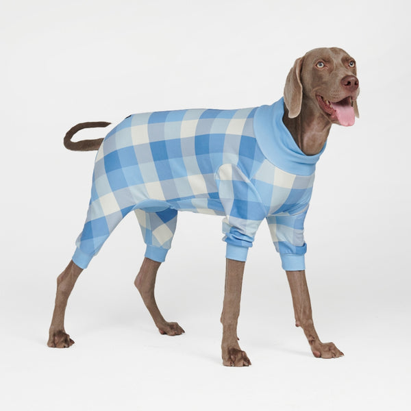 Dog Pajama - Blue Checkered