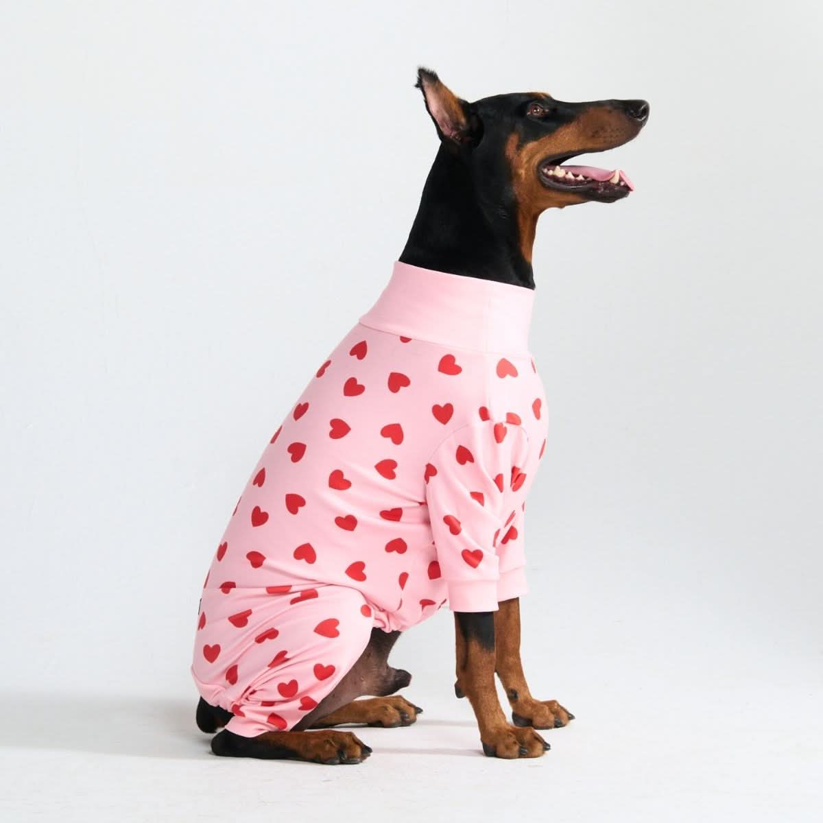 Dog Pajama - Pink Hearts – SPARK PAWS