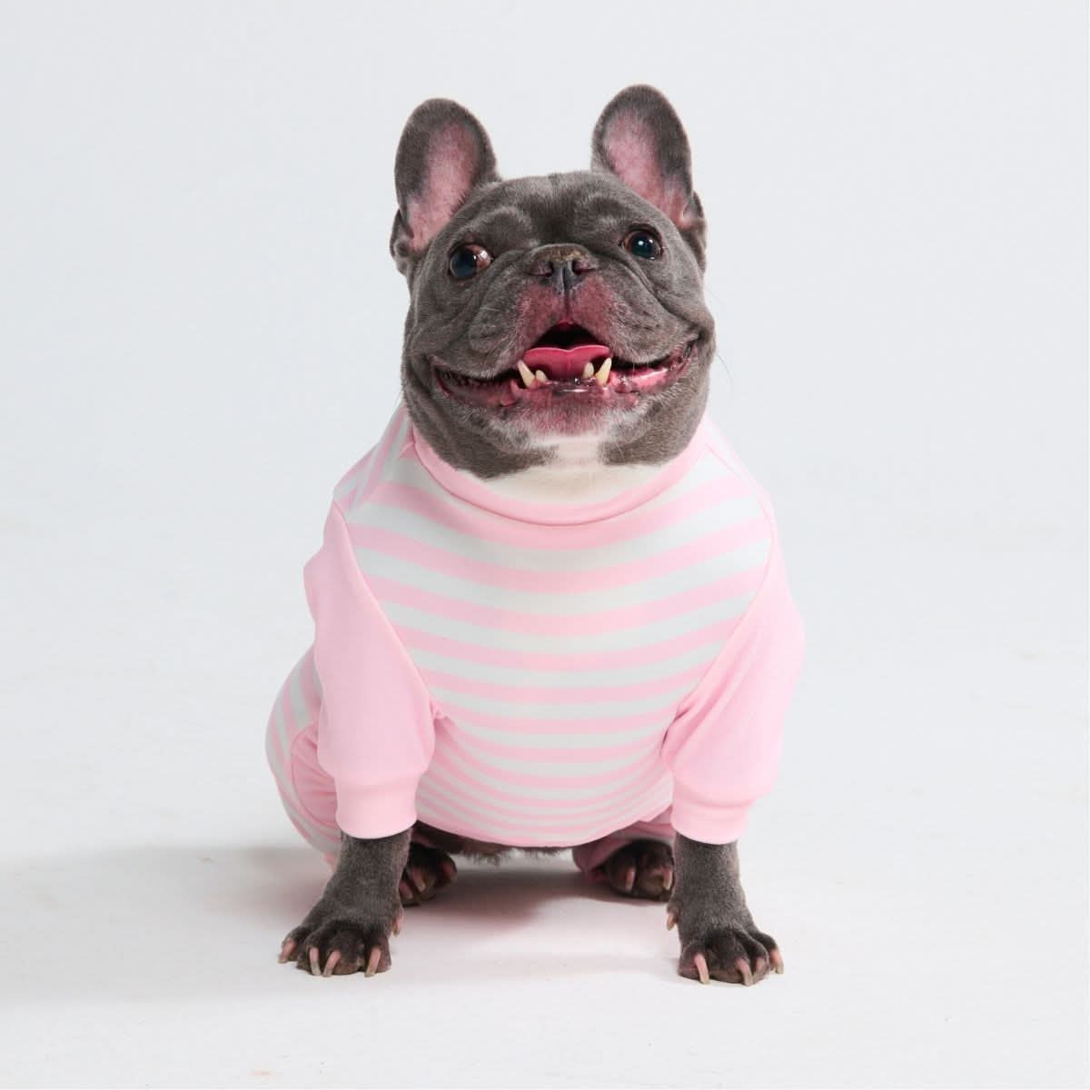 Dog Pajama - Pink Stripes – SPARK PAWS