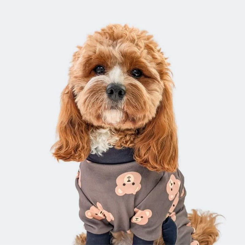 Bear Black PJ