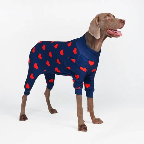 Dog Pajama - Hearts