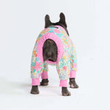 Meadows PJ
