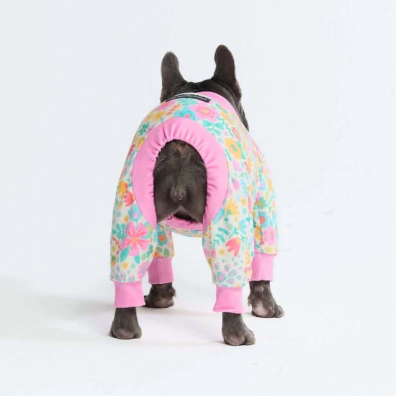 Meadows PJ