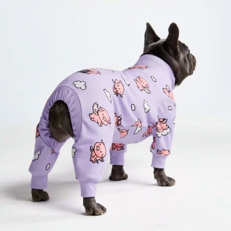 When Pigs Fly PJ