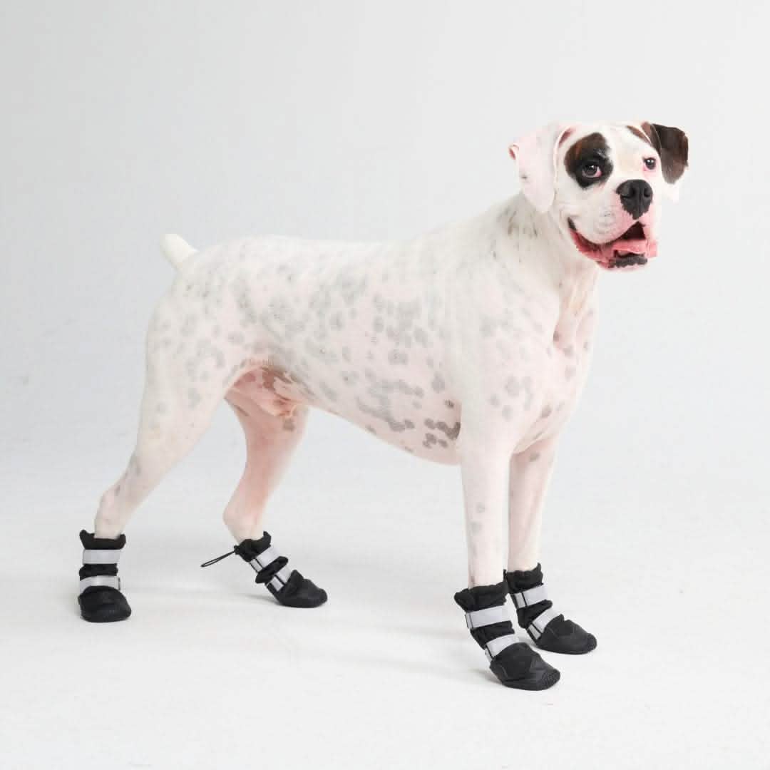 walkies dog boots