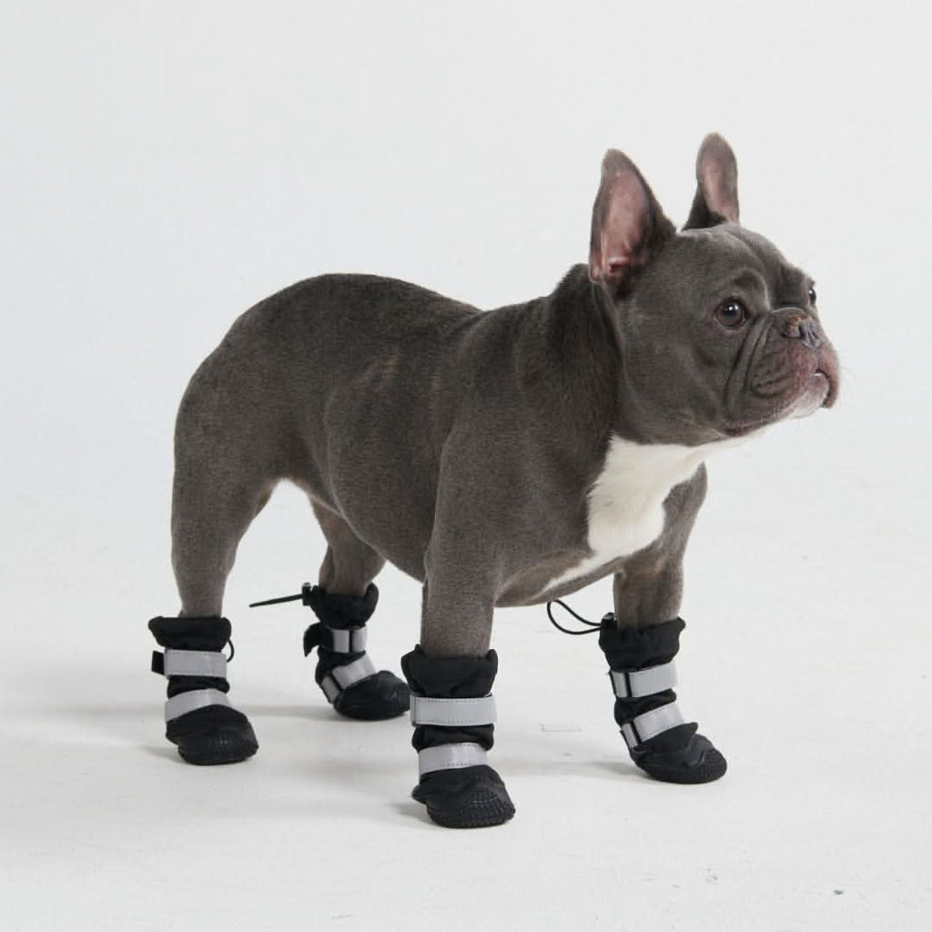 Flex Shell Water-resistant Dog Boots – SPARK PAWS
