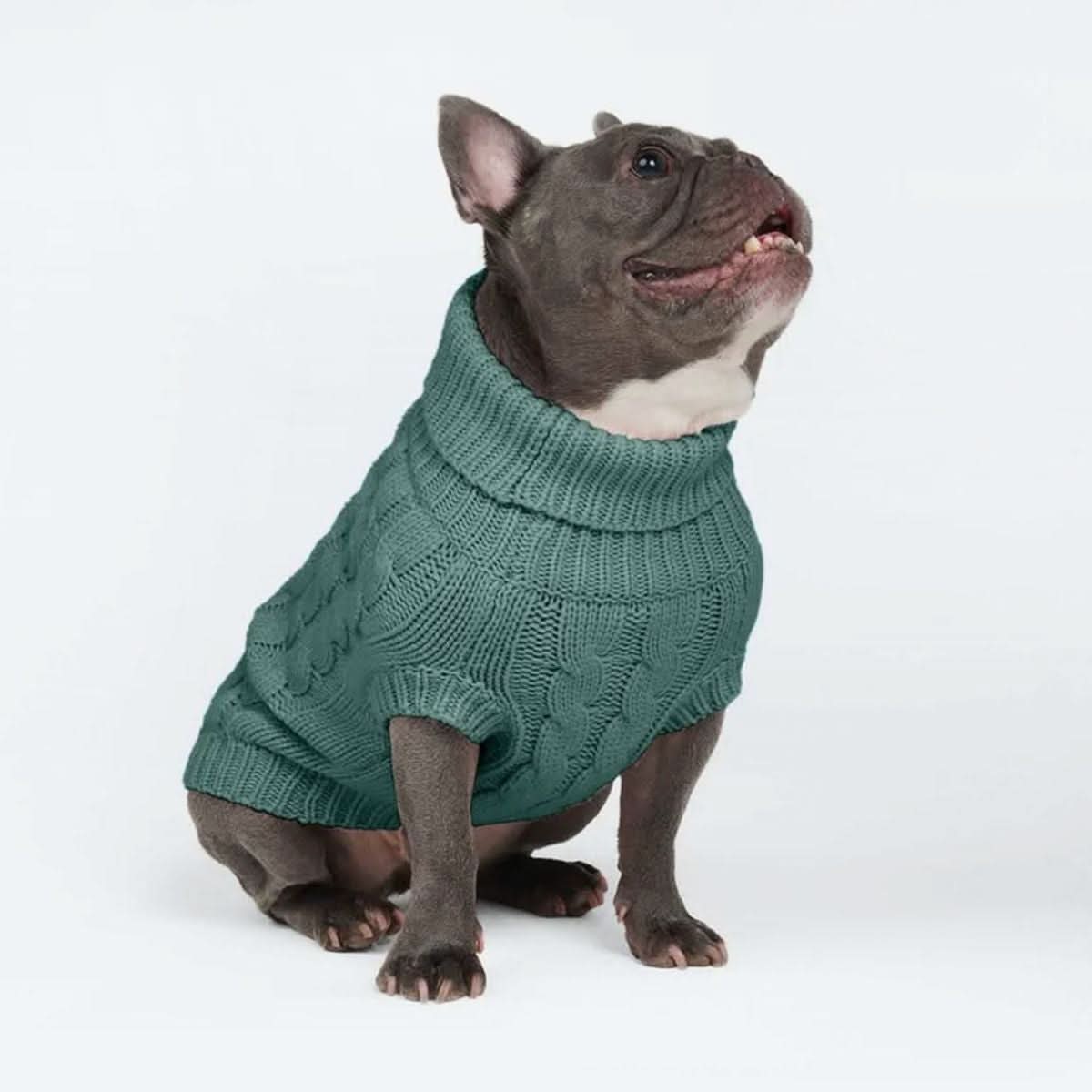 Cable Knit Dog Sweater - Pine Green – SPARK PAWS