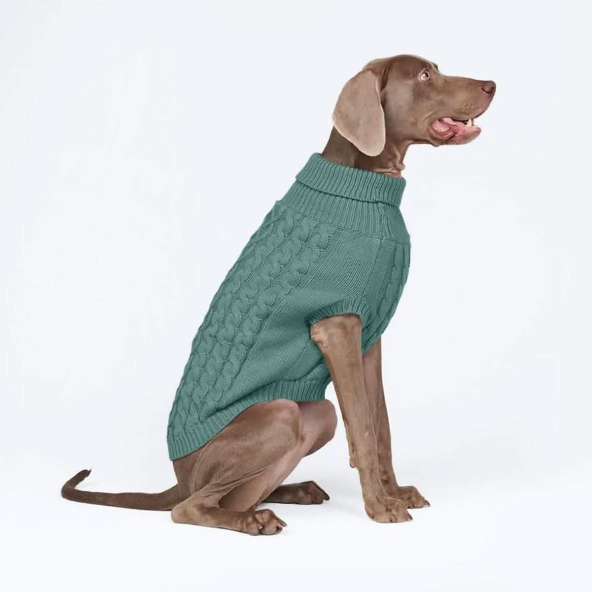 Matching Hoodies For Dog And Owner Cable Knit Dog Sweaters