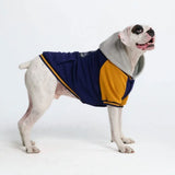 Blue Yellow Varsity Jacket