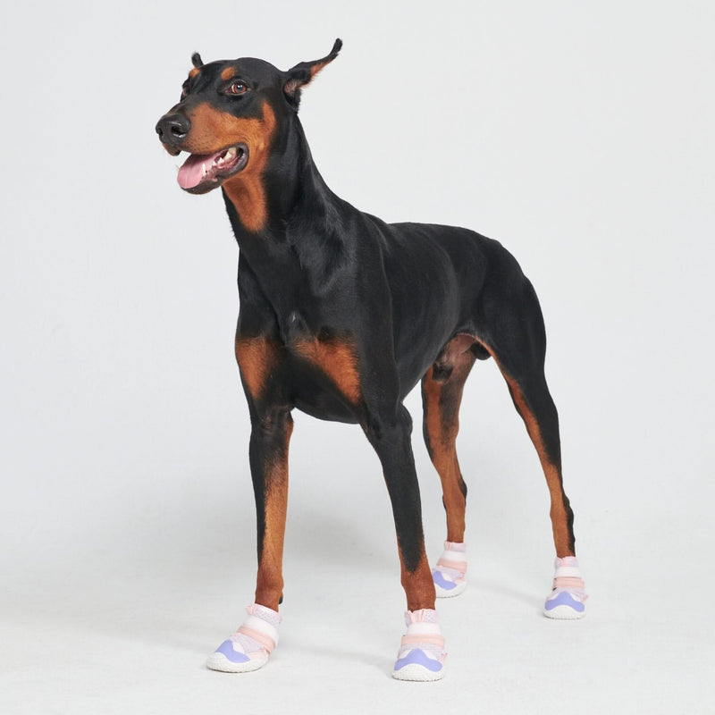 Hot Pavement Pawtector Dog Shoes - Pink Purple