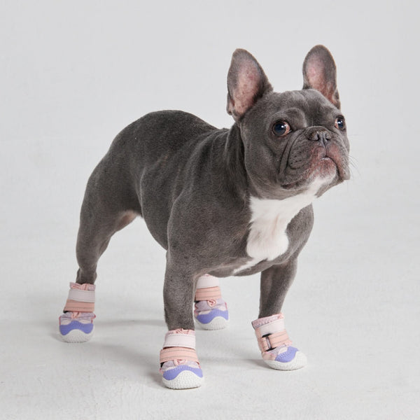 Hot Pavement Pawtector Dog Shoes - Pink Purple