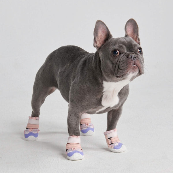 Dog shoes for bulldogs Outlet
