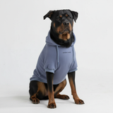 Essential Dog Hoodie - Slate Blue