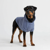 Essential Dog Hoodie - Slate Blue