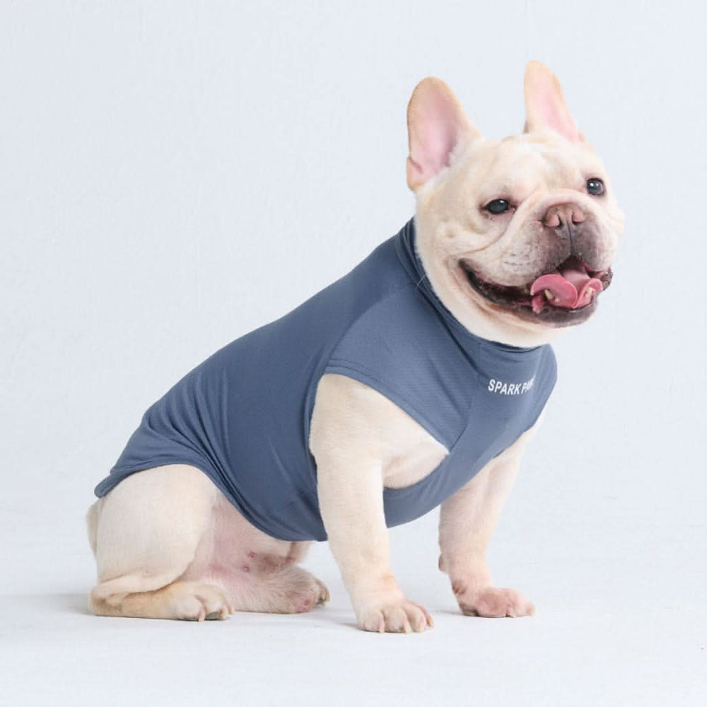 Sunblock Dog T-Shirt - Navy Blue – SPARK PAWS