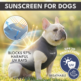 Navy Blue Dark Grey Blue||size:S,M,L,XL,2XL,3XL,4XL,5XL