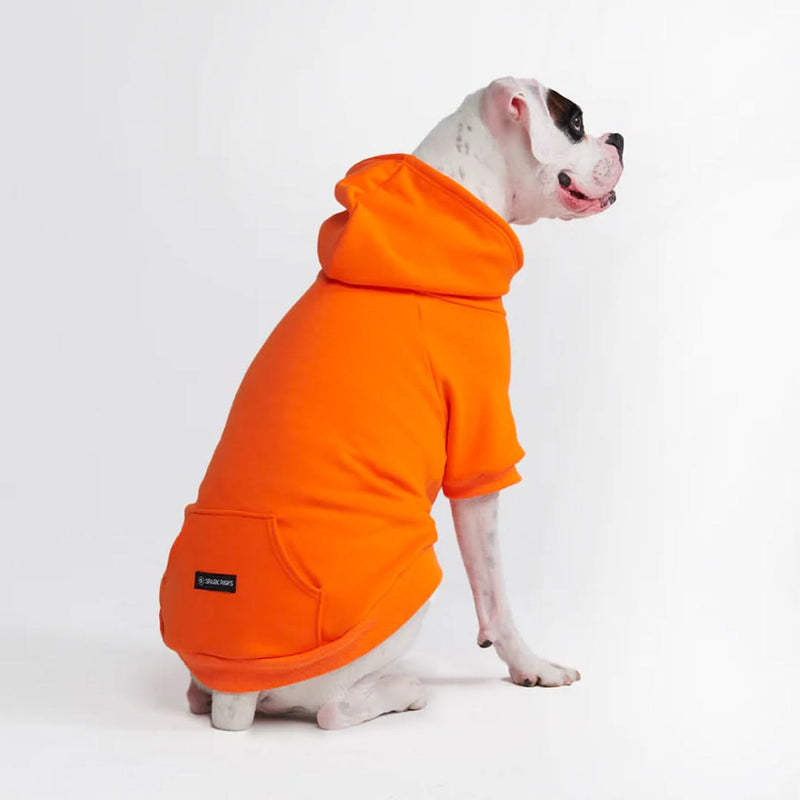 Essential Dog Hoodie - Spritz