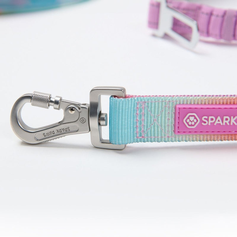 Pastel Icing Neoprene Leash