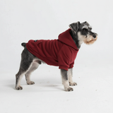 Essential Burgandy Hoodie