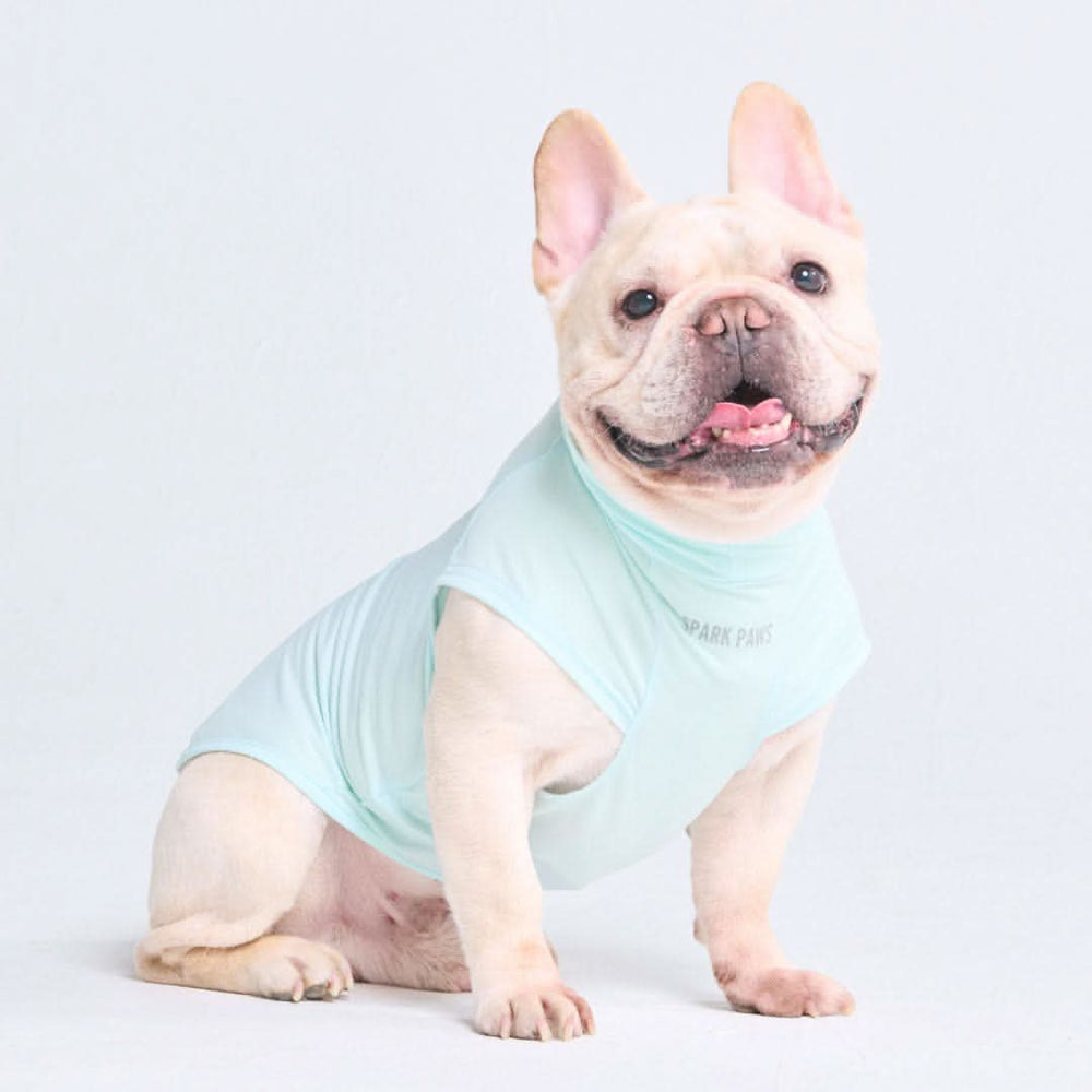 Sunblock Dog T-Shirt - Baby Blue – SPARK PAWS