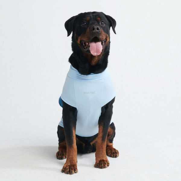 Sunblock Dog T-Shirt - Blue – SPARK PAWS