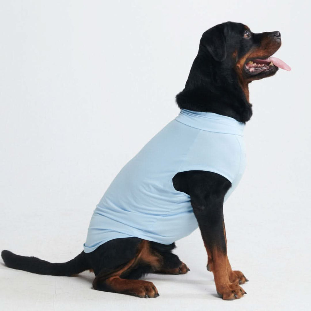 Sunblock Dog T-Shirt - Blue – SPARK PAWS