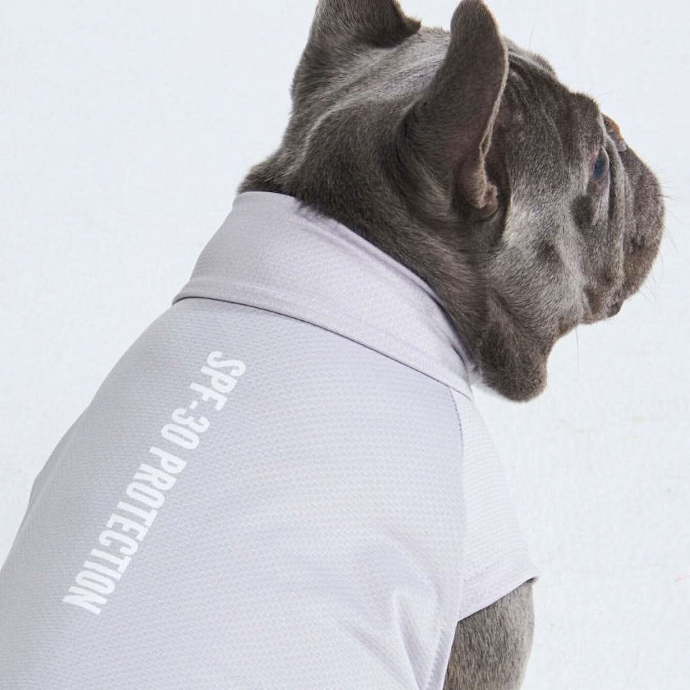 Sunblock Dog T-Shirt - Grey – SPARK PAWS