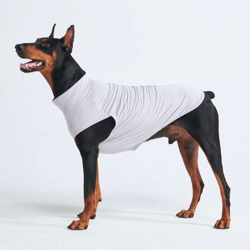 Sunblock Dog T-Shirt - Grey – SPARK PAWS