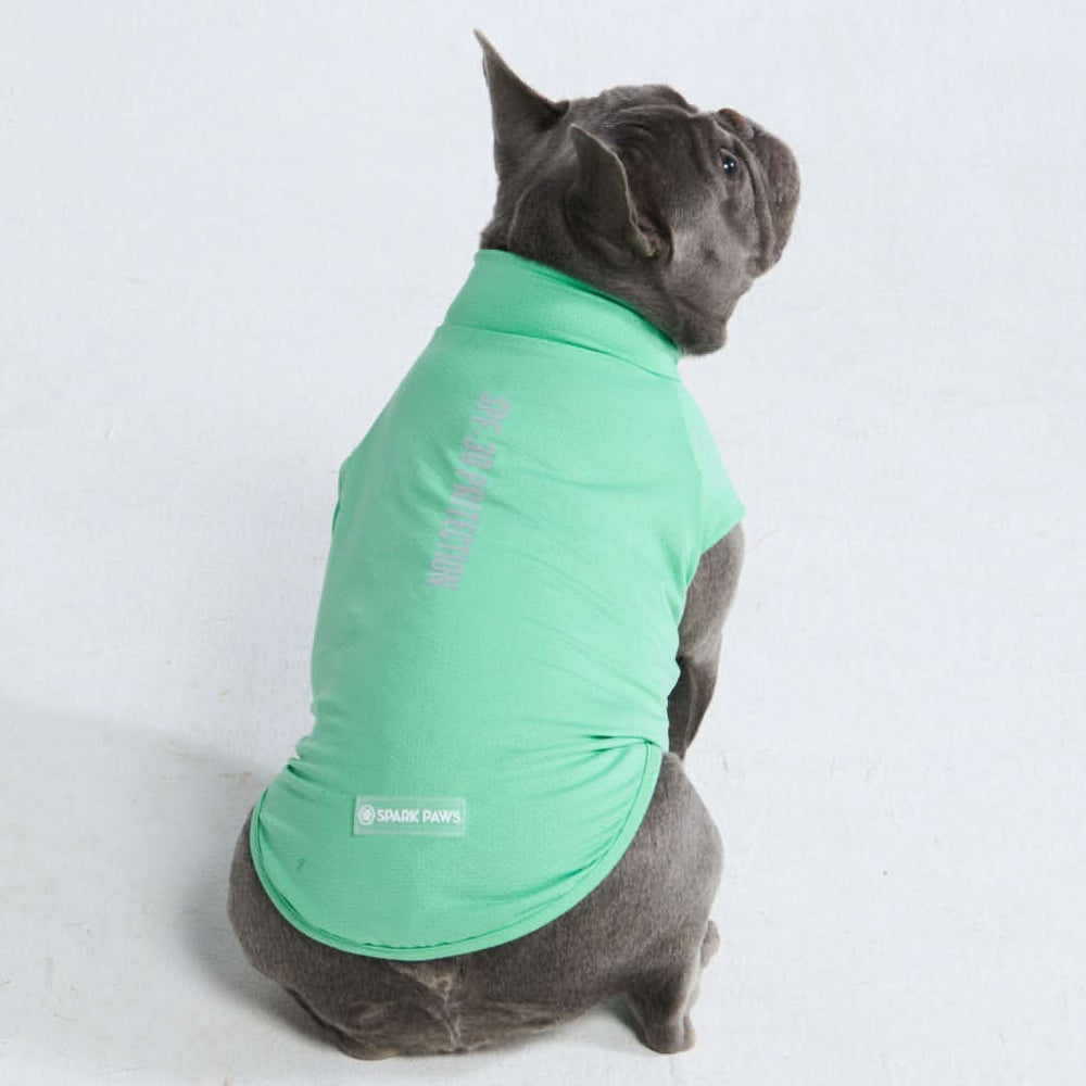Sunblock Dog T-Shirt - Mint – SPARK PAWS