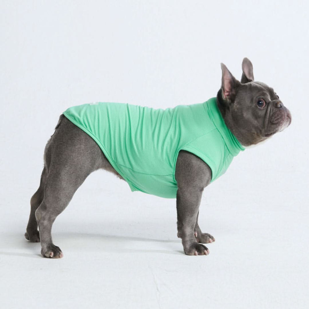 Sunblock Dog T-Shirt - Mint – SPARK PAWS