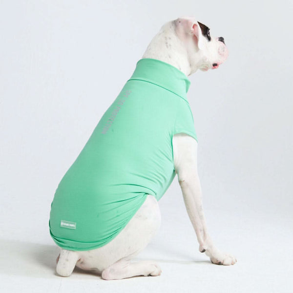 Sunblock Dog T-Shirt - Mint – SPARK PAWS