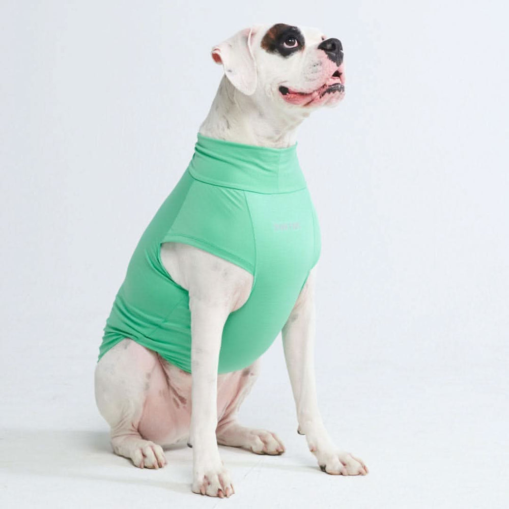 Sunblock Dog T-Shirt - Mint – SPARK PAWS