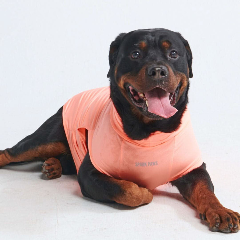 SparkPaws Sunblock Dog T-Shirt ４枚 大型犬服 Sunblock Dog T-Shirt - Peach – SPARK PAWS