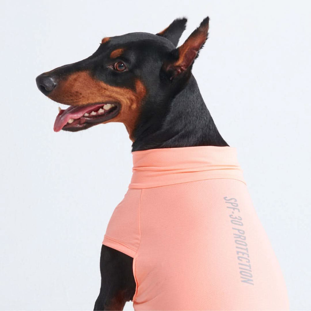 Sunblock Dog T-Shirt - Peach – SPARK PAWS